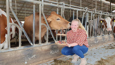 Linda is bijna elke dag in de weer met chocolade.