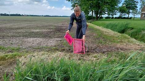 Het lossen van de vliegen