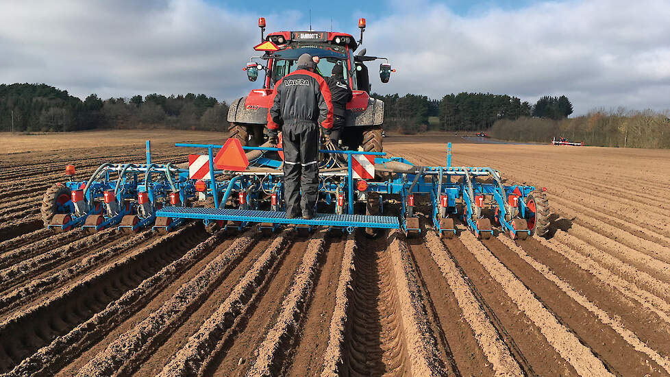 Danroots zaait drie bedden tegelijk om 180 centimeter. Met het ontstenen van de grond, het opwerpen van de bedden, enkele malen volvelds schoffelen en voor-opkomst branden zijn er dan al veel bewerkingen geweest.