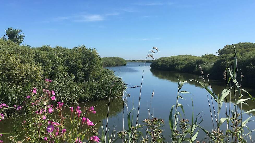 Het natuurgebied Zwanenwater, waar ook dinoterb is aangetroffen.