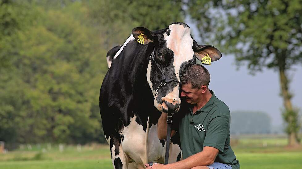 Ellen Meinen: „Uit alles wat melkveehouder Wim de Jong op zijn bedrijf en de omgang met zijn dieren deed, straalde passie en liefde. Net voor de koe op de foto moest, ging ze er nog even vandoor, maar dat vond Wim juist leuk, dat kenmerkt haar karakter ze