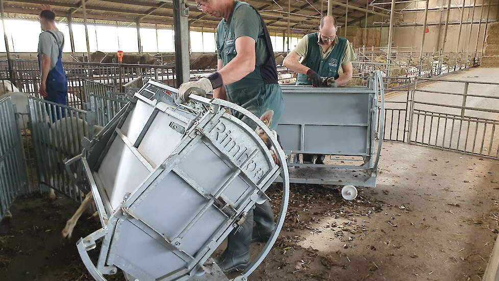 Door de draaibare bekapbox kunnen de bekappers makkelijk bij de klauwen.