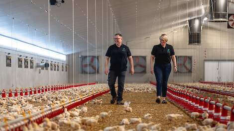 Michaël en Amélie Coulouse-Wautelet in een van de twee nieuwe vleeskuikenstallen.