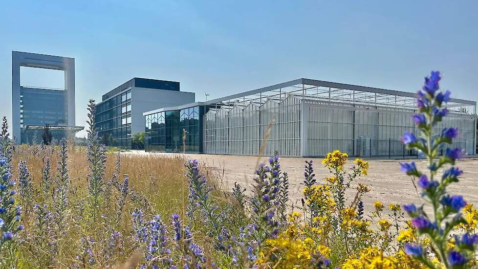 Universiteit Maastricht heeft een nieuwe onderzoekskas gebouwd op Brightlands Campus Greenport Venlo..