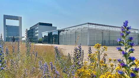 Universiteit Maastricht heeft een nieuwe onderzoekskas gebouwd op Brightlands Campus Greenport Venlo..