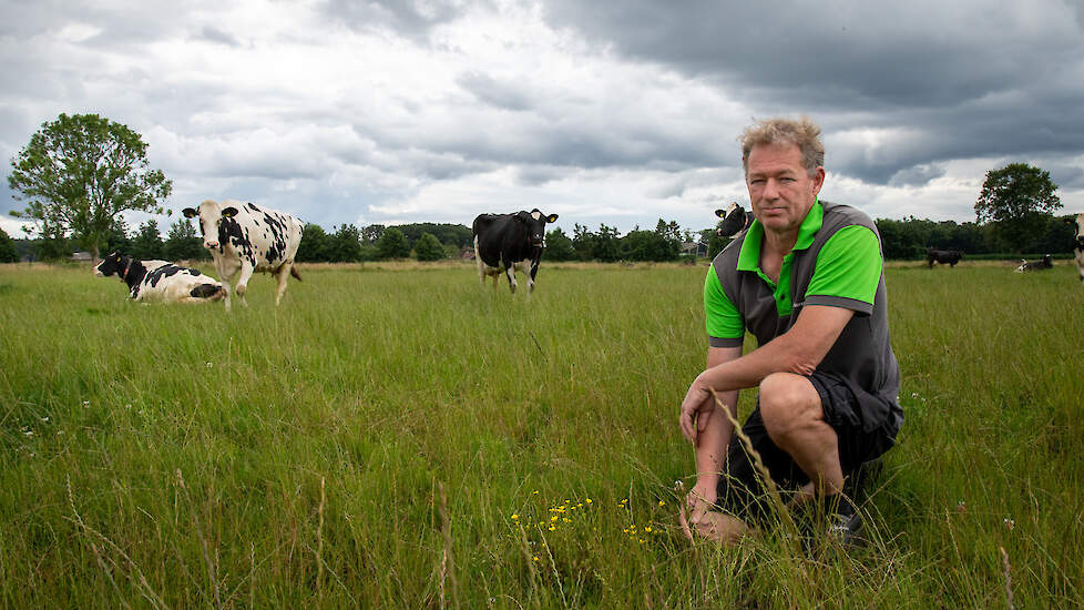 Melkveehouder Ben Apeldoorn noemt zichzelf enthousiast maar kritisch over kruidenrijk grasland.