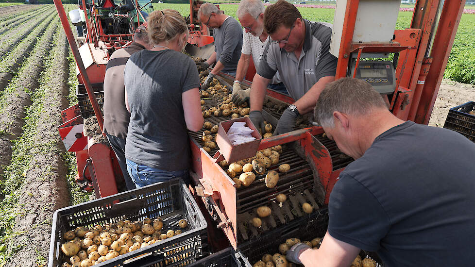 Gunter is als teler en loonwerker gespecialiseerd in vroege aardappelen.