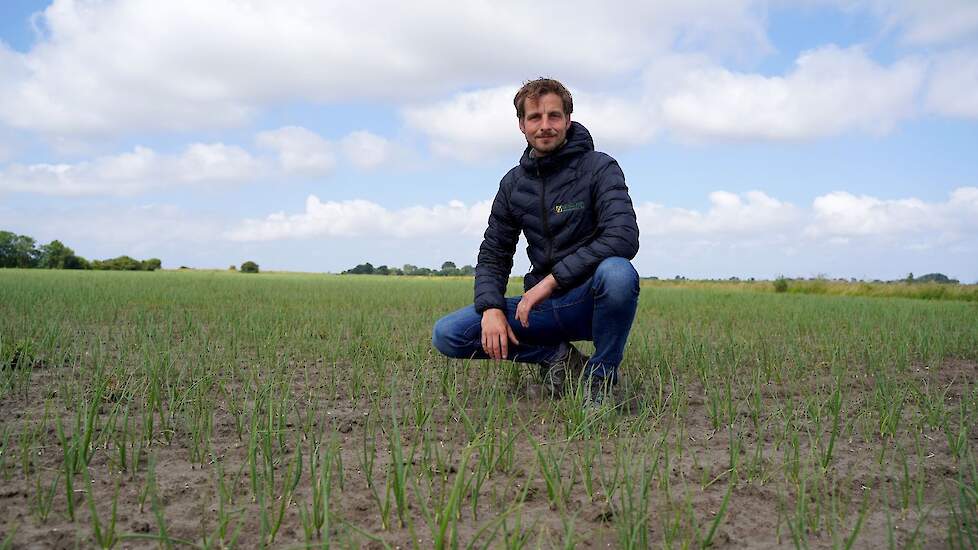 Jan Koelmans is teeltadviseur akkerbouw en veehouderij bij George Pars Graanhandel B.V. in Sint Jacobiparochie (Fr.).