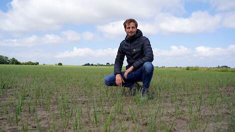 Jan Koelmans is teeltadviseur akkerbouw en veehouderij bij George Pars Graanhandel B.V. in Sint Jacobiparochie (Fr.).