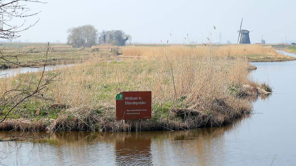 natuurgebied Eilandspolder in Noord-Holland