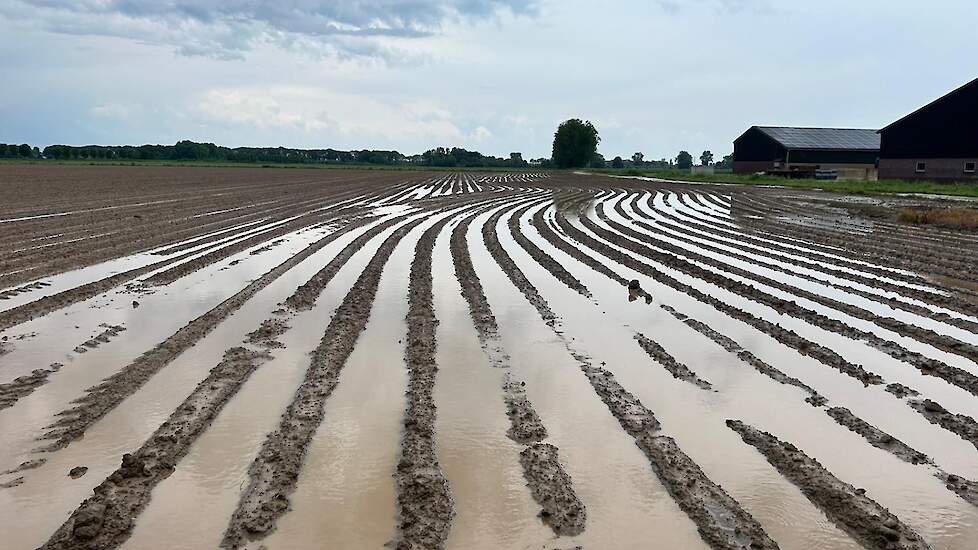 Ondergelopen akker bij Hooge Mierde, Noord-Brabant