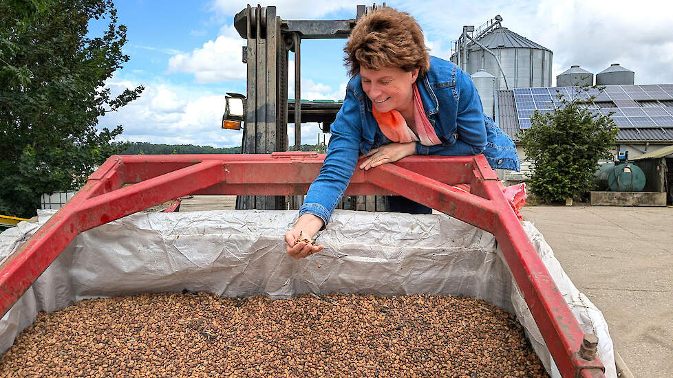 Karin Perdaems over teelten als tarwe en veldbonen: „Veldbonen zijn niet duur eiwitrijk voer.”