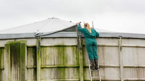 Verbeteren van de mestkwaliteit is goed voor je bodem.