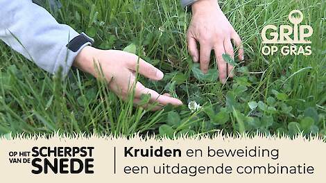 Grip op Gras - Op het scherpst van de snede 12 - Productief kruidenrijk grasland