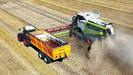 Graanoogst 2024 met Claas Lexion 8800 TT Johannes Kerkhovenpolder B.V.