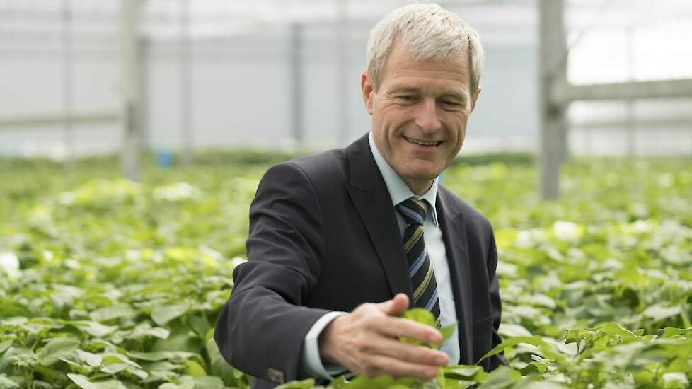 Gerard Backx: „De teelt van hoogwaardig uitgangsmateriaal houden we zo veel mogelijk in Nederland. Daarvoor hebben we hier het juiste klimaat en de beste telers.”