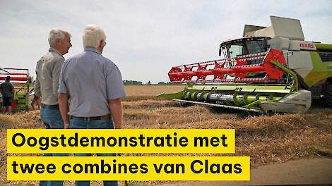 Oogstdemonstratie met twee combines van Claas