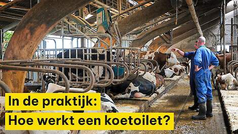 Mineralen uit drijfmest gerichter inzetten met koetoilet