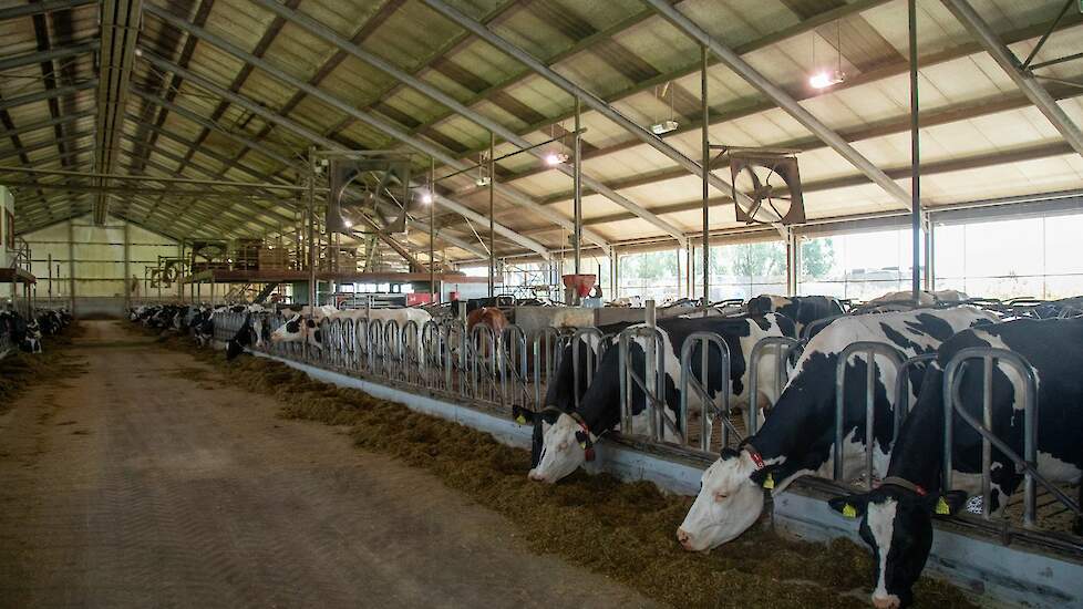 De ventilatoren aan de rechterkant van de stal hangen op 45 graden.