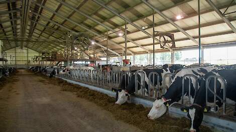 De ventilatoren aan de rechterkant van de stal hangen op 45 graden.