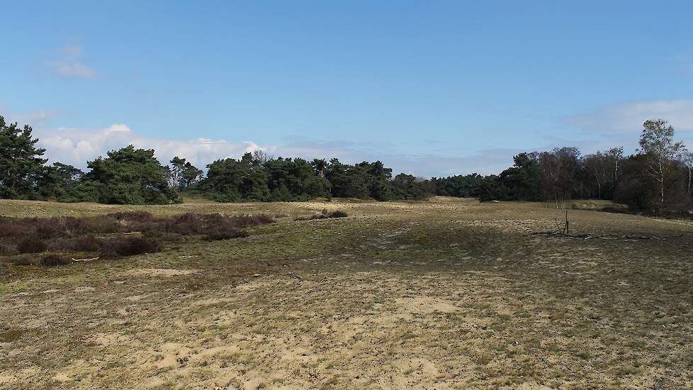 De Maasduinen, Limburg