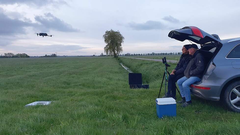 Met drone nesten weidevogels opsporen