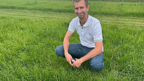 DSV product manager forage quality Luuk Maas in grasdemo.