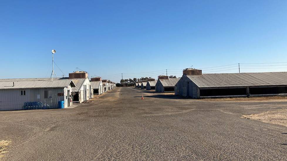 Vleeskuikenstallen in Californië in de Verenigde Staten. Beeld ter illustratie.