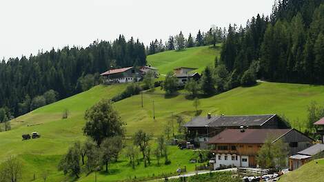 Bergboerderij in Tirol.