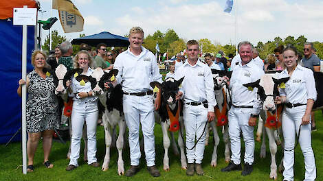 De familie Groot won het gros van de prijzen van de kalverkeuring op Landbouwshow Opmeer.