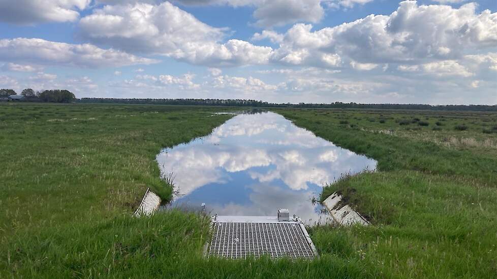 Plasdras in Nieuwe Drostendiep.