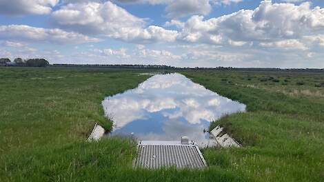 Plasdras in Nieuwe Drostendiep.