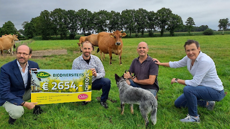 Foto uitreiking cheque: vlnr Wilco Schets (Algemeen directeur Imkerij De Traay), Bas Strijker (Odin imker), Jan Dirk van de Voort (Remeker) en Merle Koomans van den Dries (directeur Odin).