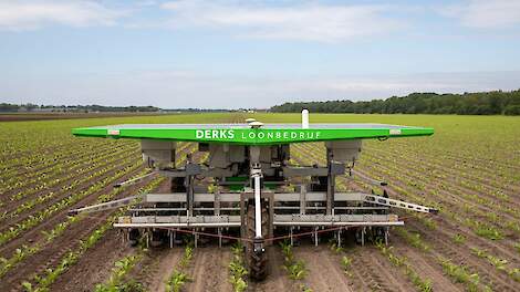 Veldrobots, zoals deze FarmDroid, zijn superlicht en helpen bodemverdichting voorkomen. Naast het voordeel van arbeidsbesparing natuurlijk.