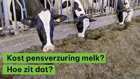 Kost pensverzuring melk: hoe zit dat?