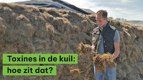 Toxines in de kuil: hoe zit dat?