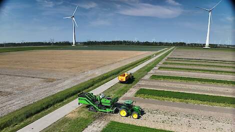 Phytophthora-resistente aardappeloogst in Lelystad