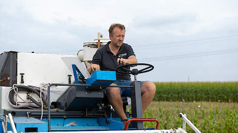 In totaal teelt Maatschap Giesen dit jaar ongeveer 12 hectare quinoa.