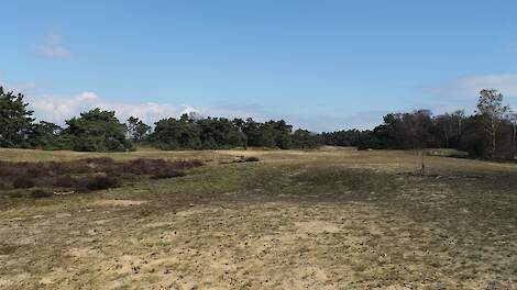 De Maasduinen, Bergen Limburg