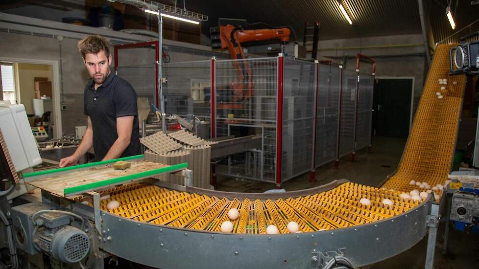 Zij-instromer en opvolger Marcel Nijmeijer (foto) houdt samen met Gerrit van den Berg (60) 32.000 vleeskuikenouderdieren met bijbehorende hanen in Ane (OV).