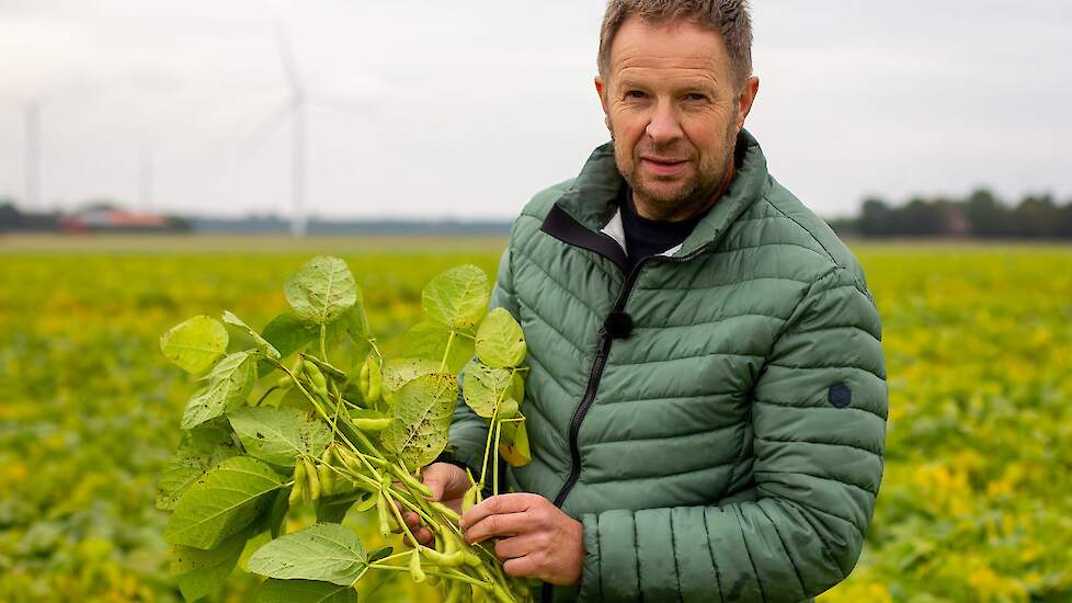 Gisteren klonk op het akkerbouwbedrijf van Harry Schreuder in Swifterbant het officiële startsein voor de samenwerking tussen Jumbo en Nederlandse edamame telers.