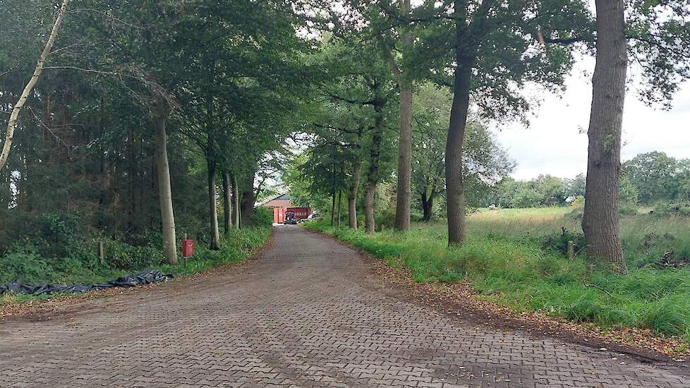 Op het erf staat een grote container voor de ontruiming.