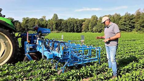 Schoffelen in sperziebonen met Lemken EC weeder en uitleg door specialist