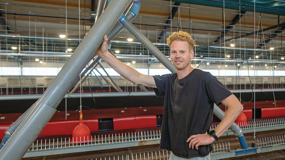 Kevin van der Ven en Tjerry de Mol bouwden twee stallen voor vleeskuikenouderdieren in Heeswijk-Dinther.