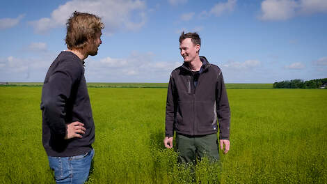 Bouwplan verbreden en vruchtwisseling door vlas