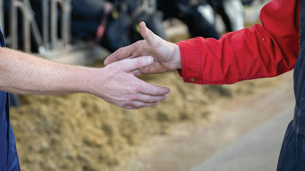 De prijs voor gebruiksvee is heel snel opgelopen. De importvaarzen uit Duitsland werden de laatste maanden al honderden euro’s duurder.