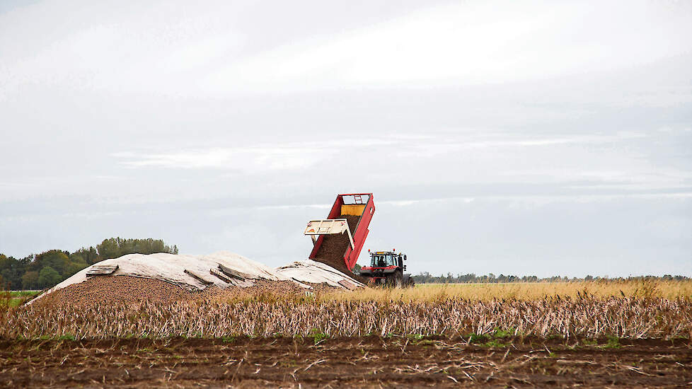 Op het perceel dat Smith rooit, staan aardappelen van het ras Avamond. De opbrengst is goed te noemen. „We oogsten ongeveer 60 ton per hectare en dat is heel prima voor zetmeelaardappelen”, zegt Henk de Haan min of meer tevreden. Op de zandgrond in het ho