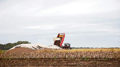 Op het perceel dat Smith rooit, staan aardappelen van het ras Avamond. De opbrengst is goed te noemen. „We oogsten ongeveer 60 ton per hectare en dat is heel prima voor zetmeelaardappelen”, zegt Henk de Haan min of meer tevreden. Op de zandgrond in het ho