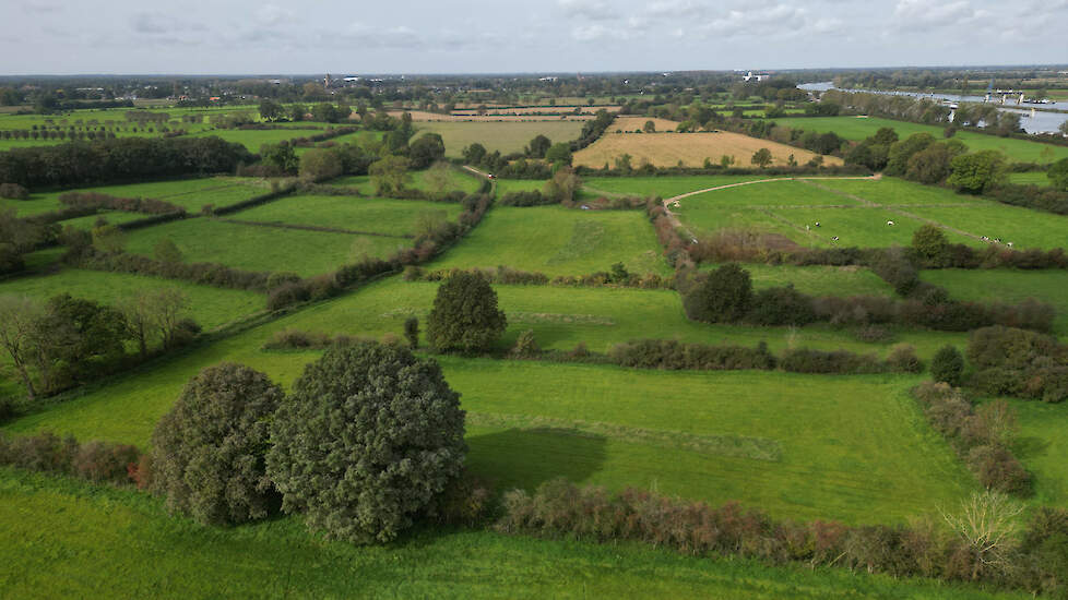 De Maasheggen vormen een mozaïek van knip- en struweelheggen rond akkers en weilanden.