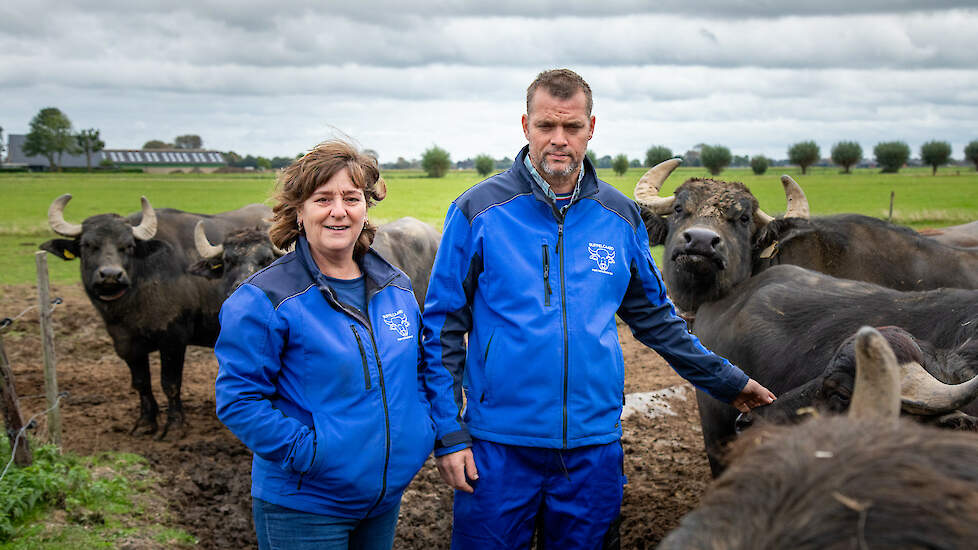 Monique en Richard runnen een van de ongeveer twintig buffelmelkerijen die Nederland telt.